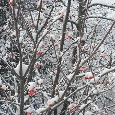 Haus Anna Ein Haus Mit Herz 아파트