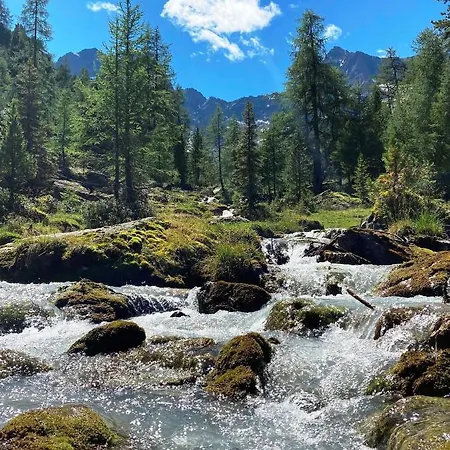 Haus Anna Ein Haus Mit Herz 플리스