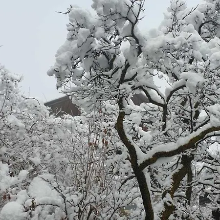 아파트 Haus Anna Ein Haus Mit Herz