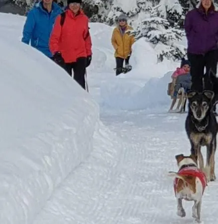 Haus Anna Ein Haus Mit Herz 아파트 플리스