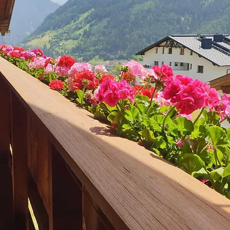 Apartment Haus Anna Ein Haus Mit Herz