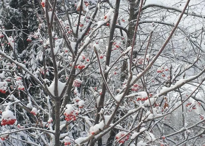 Haus Anna Ein Haus Mit Herz Apartamento