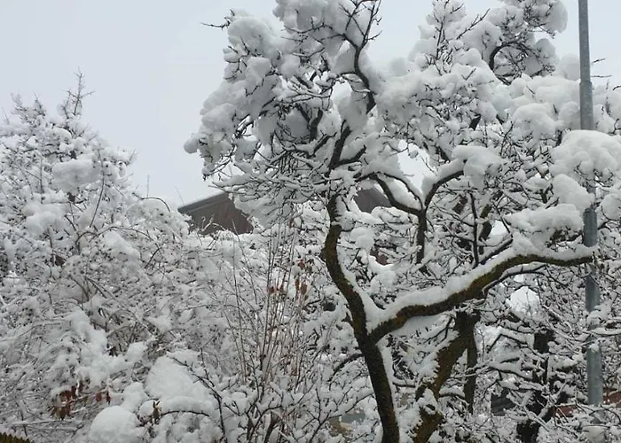 Apartamento Haus Anna Ein Haus Mit Herz