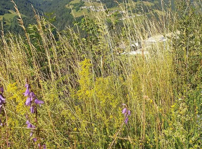 Haus Anna Ein Haus Mit Herz Appartamento