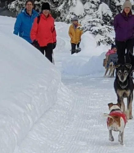 Haus Anna Ein Haus Mit Herz Appartamento Fliess